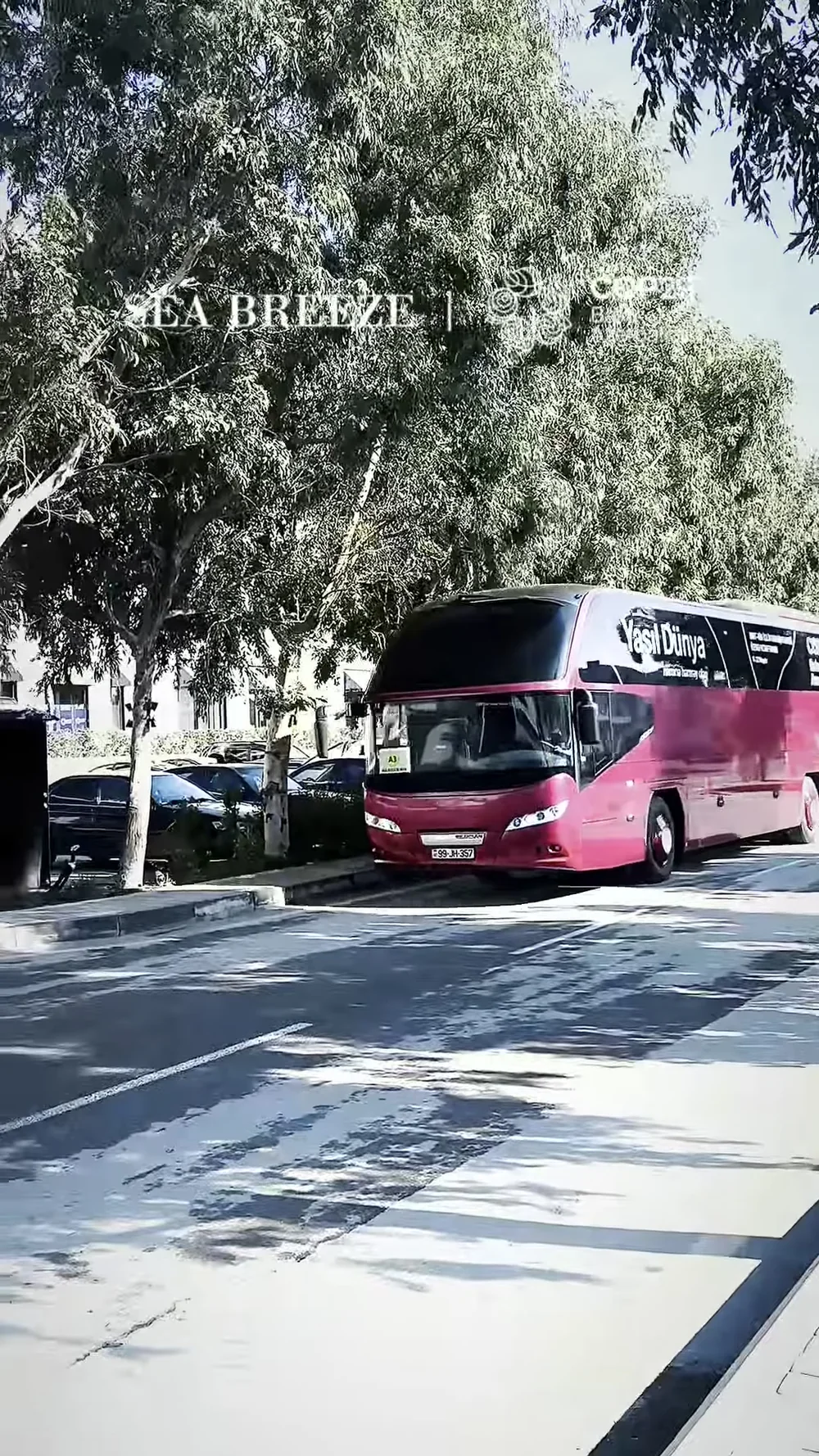 Автобус для гостей у курорта в дни заезда (кадр официального ролика)
